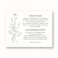 Fine Dandelion Information Card