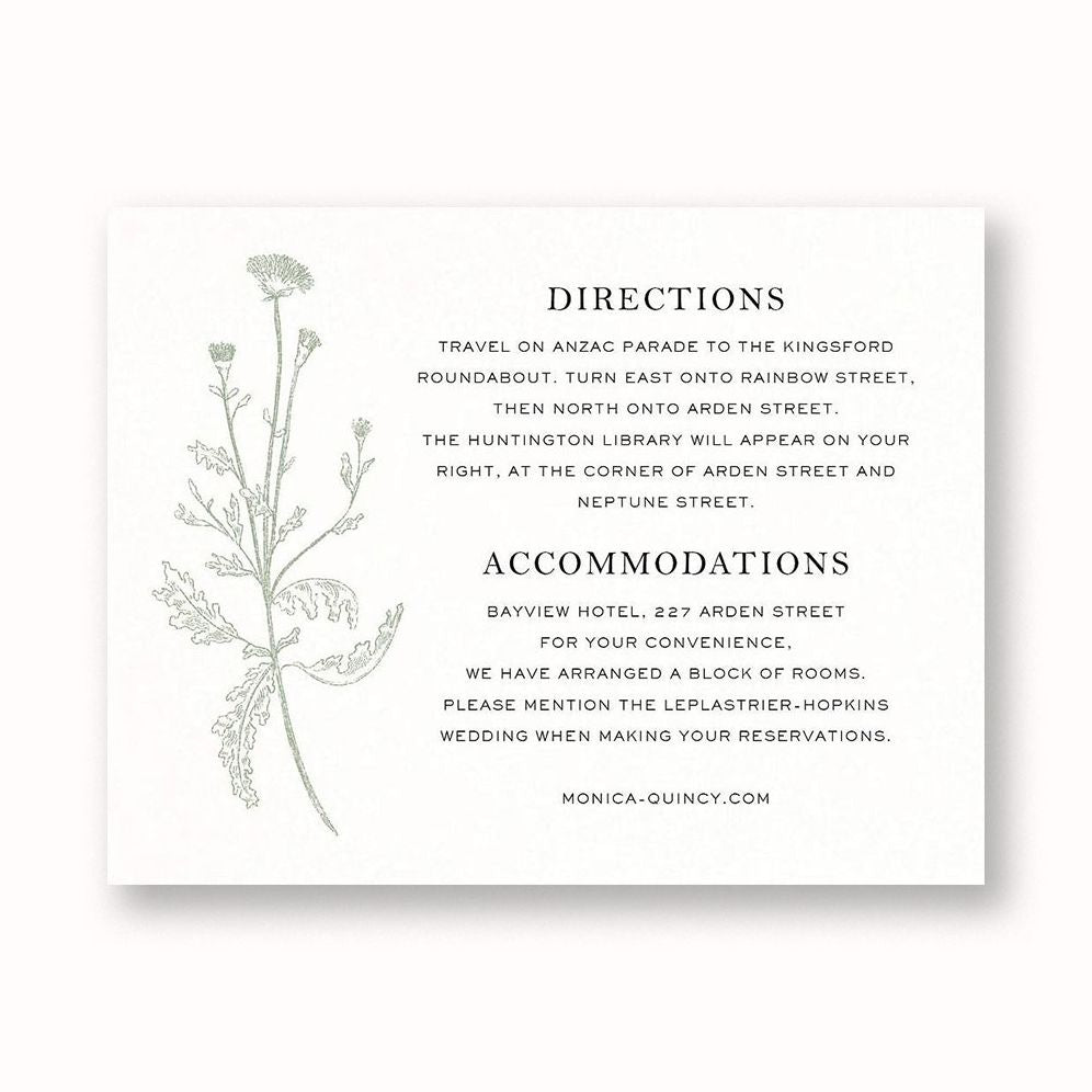Fine Dandelion Information Card