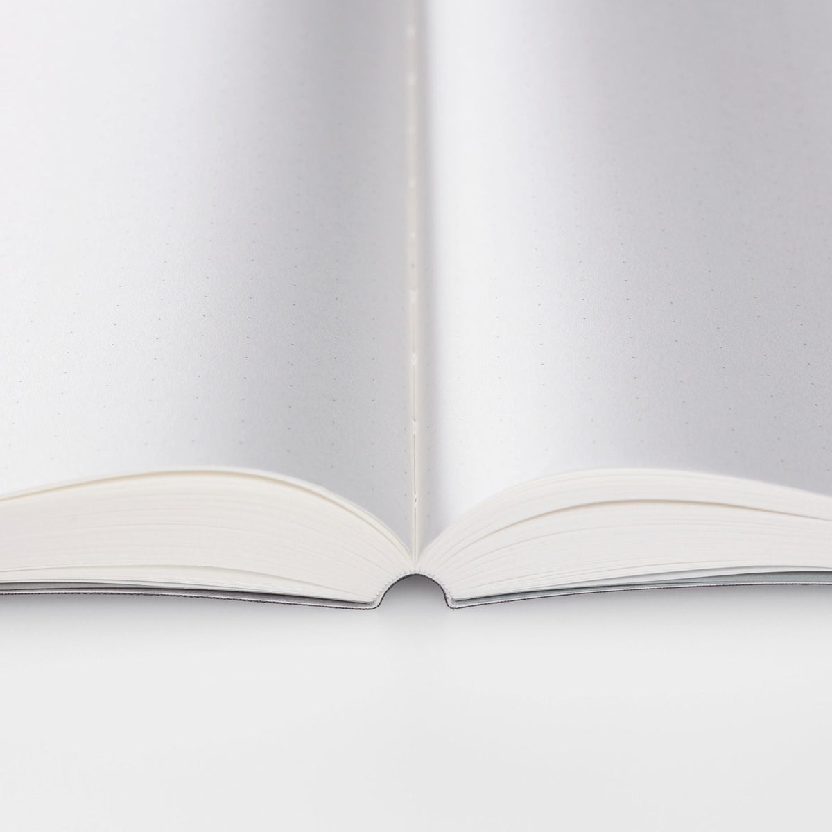 Blue 365 Days Notebook