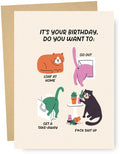 Cat Plans Birthday Card