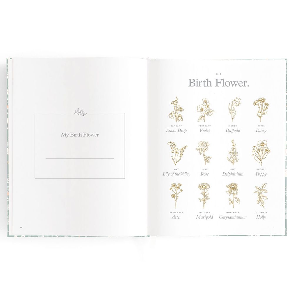 Baby Book Forest Friends Sage