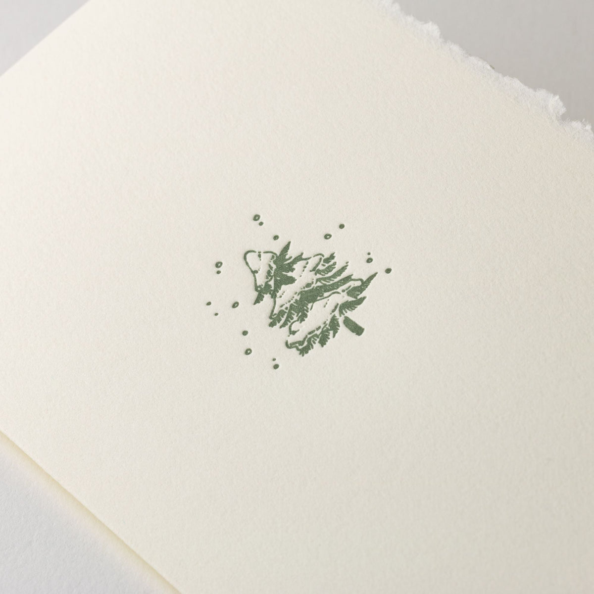 Snowy Pine Holiday Stationery Box Set