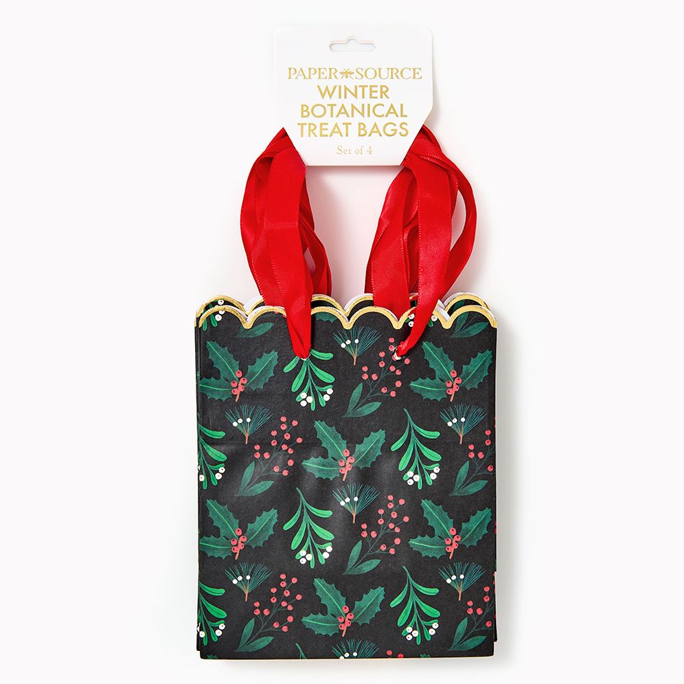 Winter Botanical Treat Bags S/4