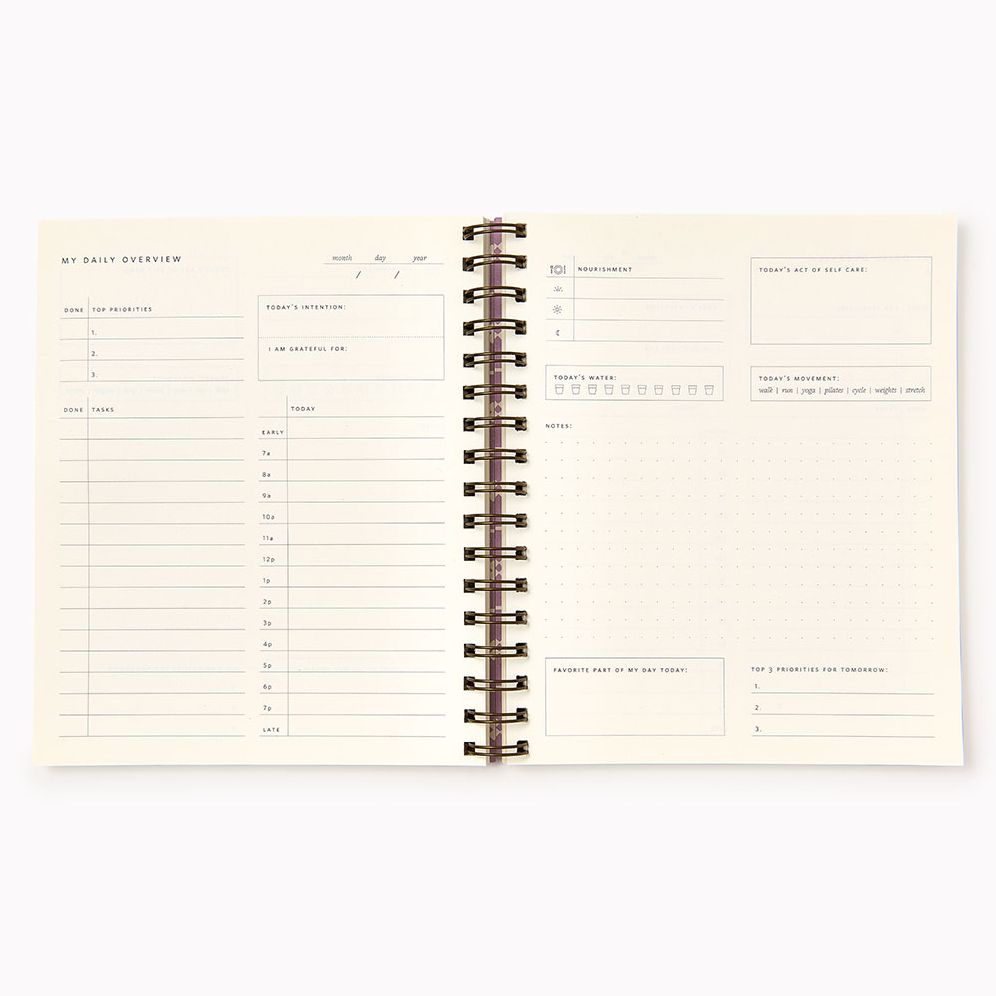 Teal Diamond Paper Wasp Daily Planner