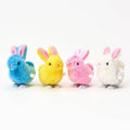 Bunny Wind Up Toy