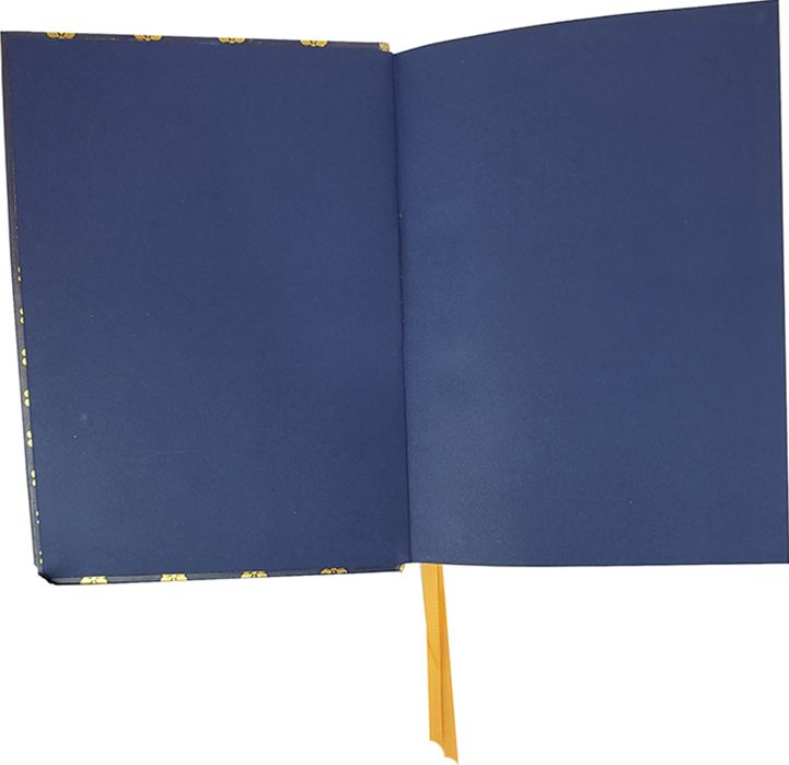 Navy Gold Foil Journal