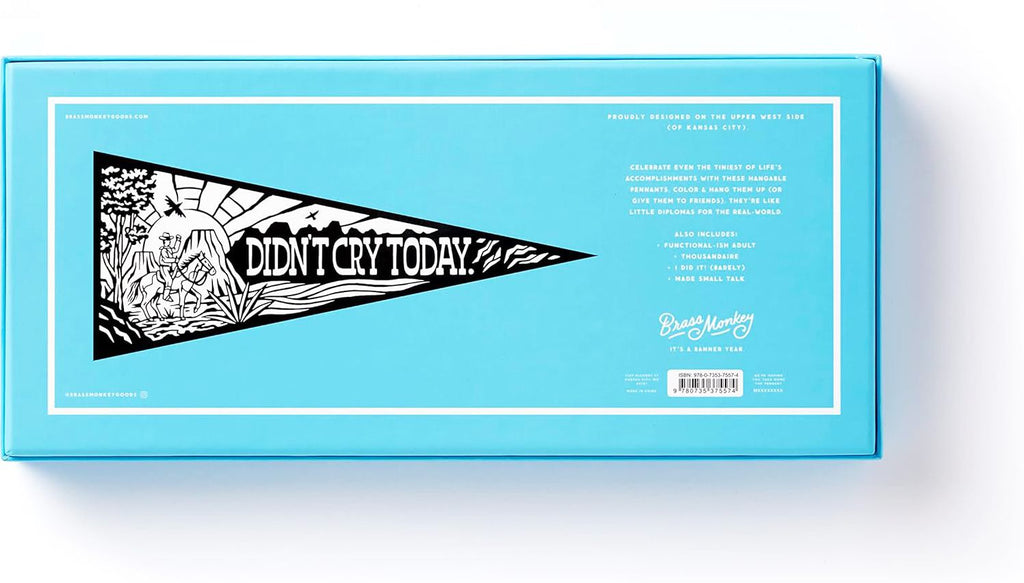 Small Victories Magic Velvet Pennant Coloring Set