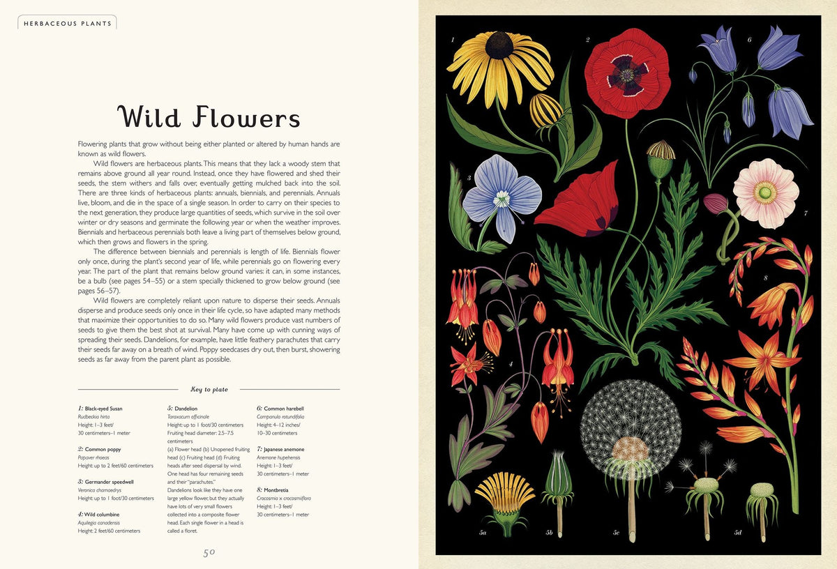 Botanicum (Welcome to the Museum Series)