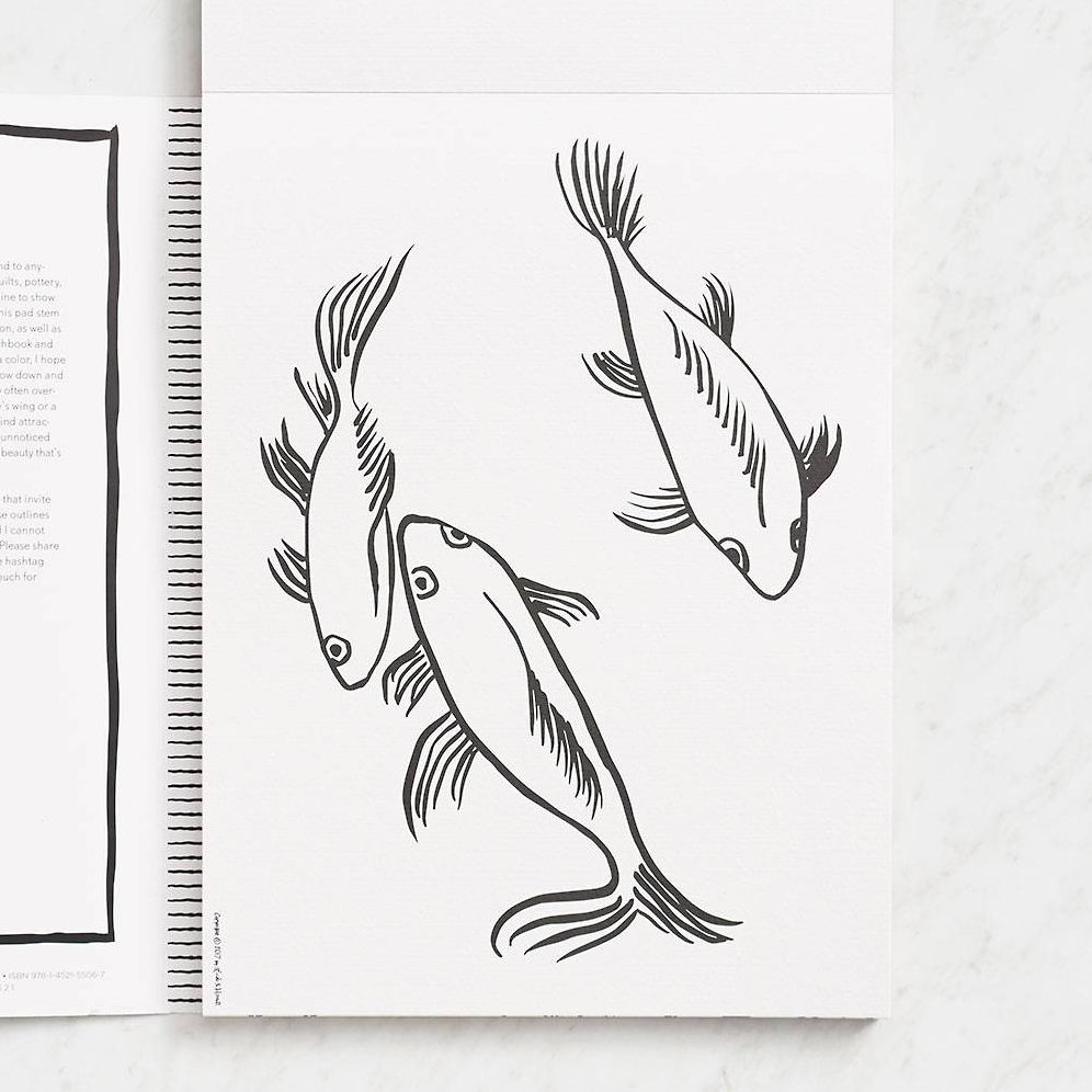 Splash of Color Painting & Coloring Book