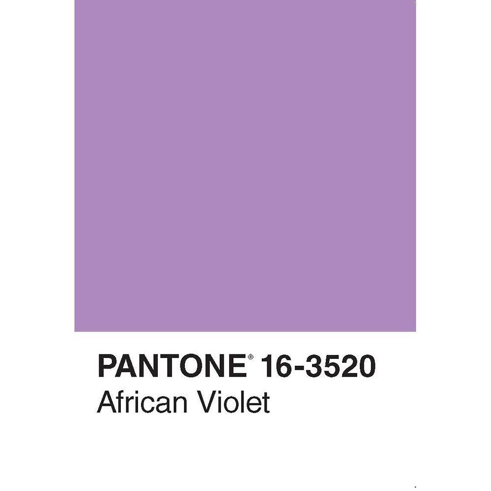 Pantone 50 Postcards
