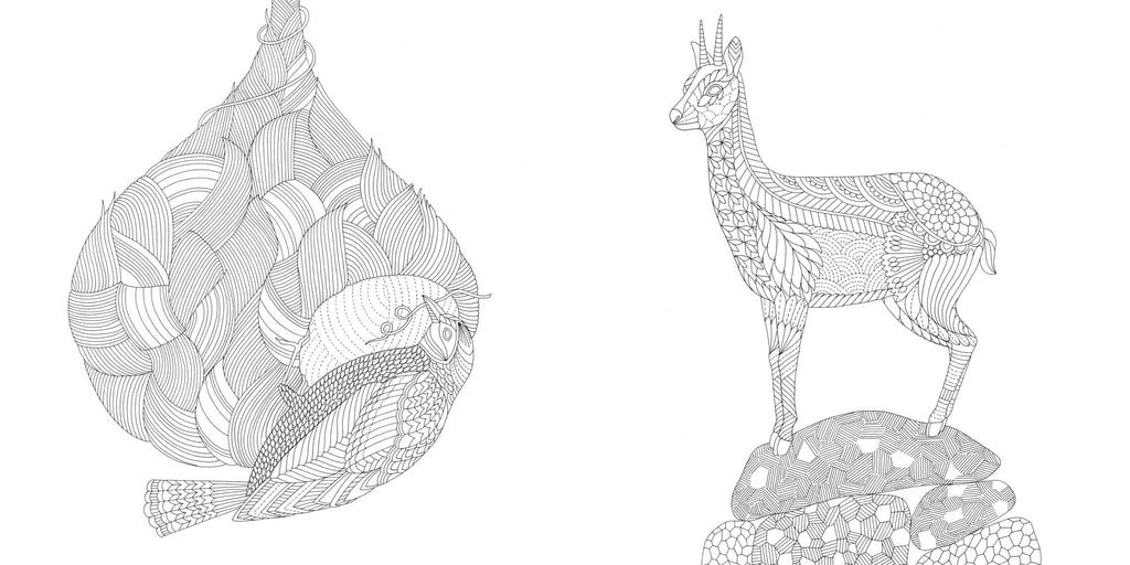 Wild Savannah: A Coloring Book Adventure
