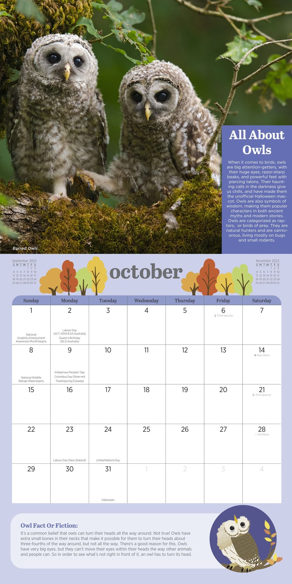 2023 Kids' Birding Activity Wall Calendar