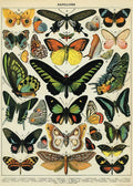Butterflies Flat Wrap