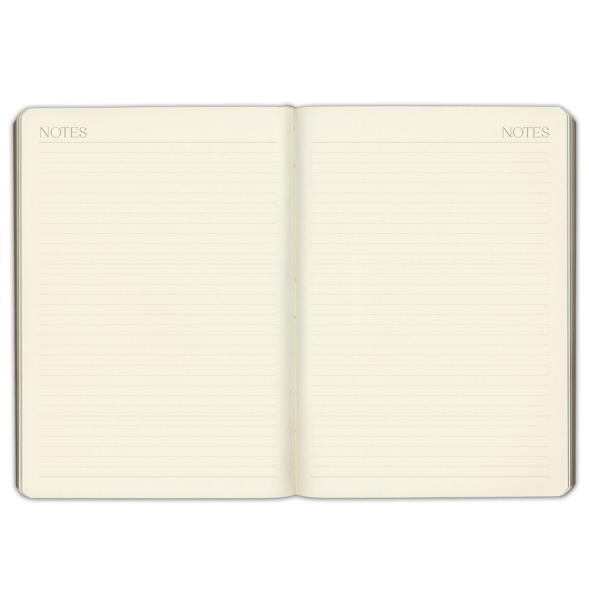 2027 Paper Source Sage Weekly Desk Planner
