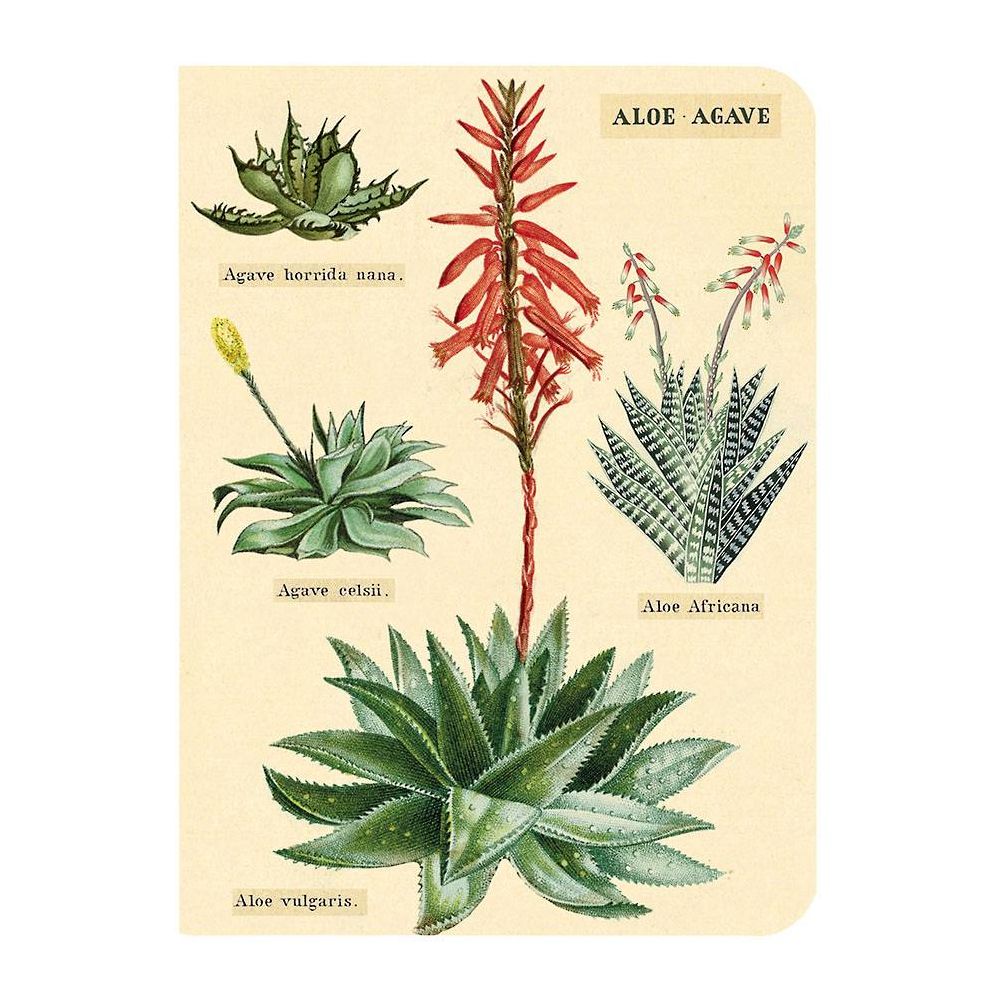 Succulents Mini Journals