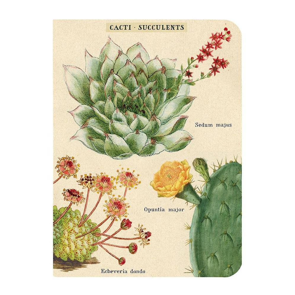 Succulents Mini Journals