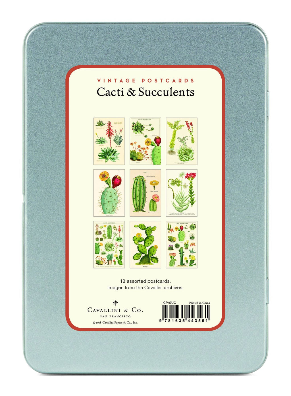 Succulents Carte Postale Postcard Set