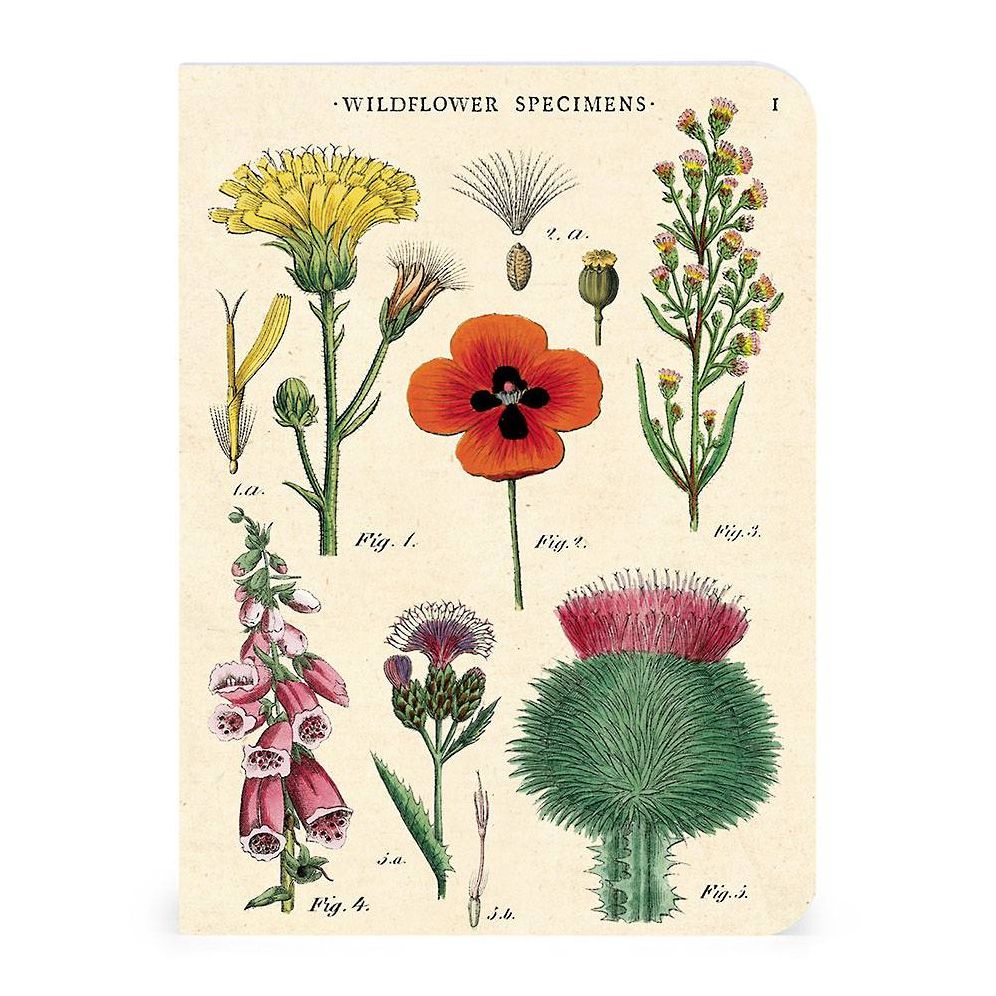Wildflowers Mini Notebooks