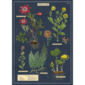 Herbarium Flat Wrap