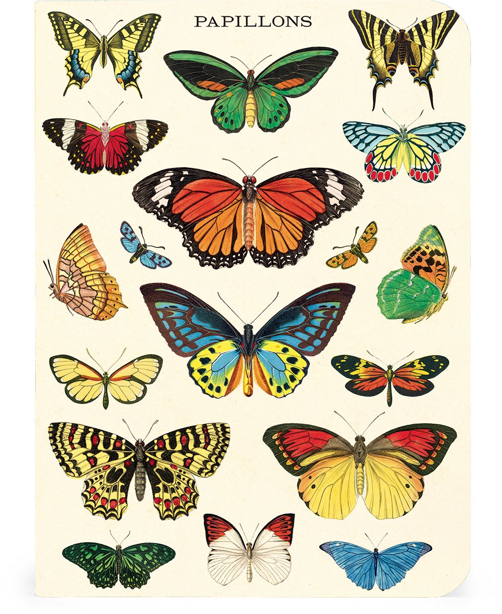Butterflies Mini Notebooks - Set of 3