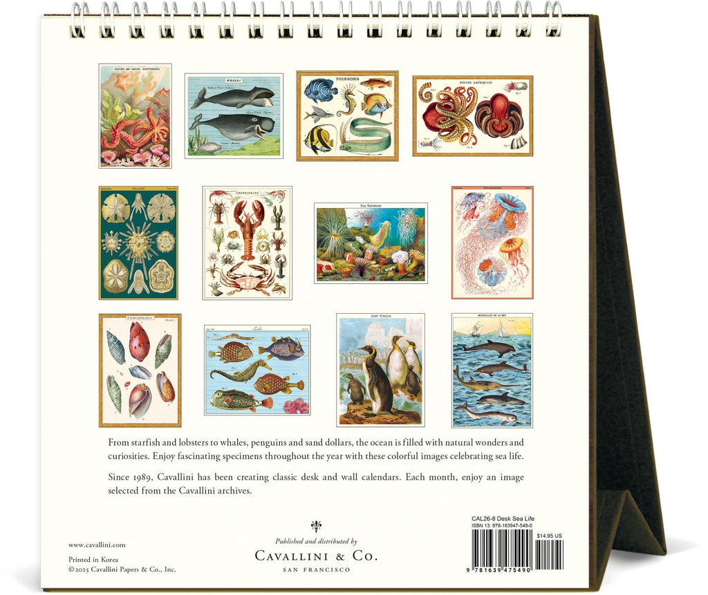 2026 Cavallini Sea Life Desk Calendar
