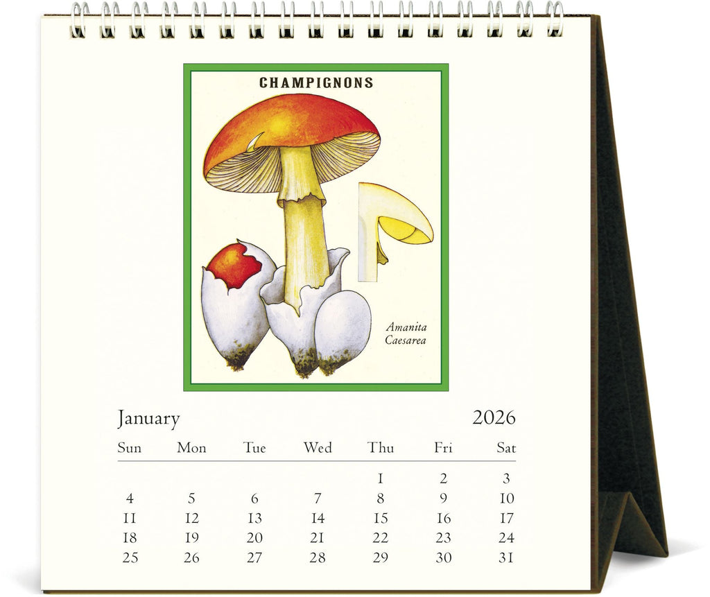 2026 Foraging Desk Calendar
