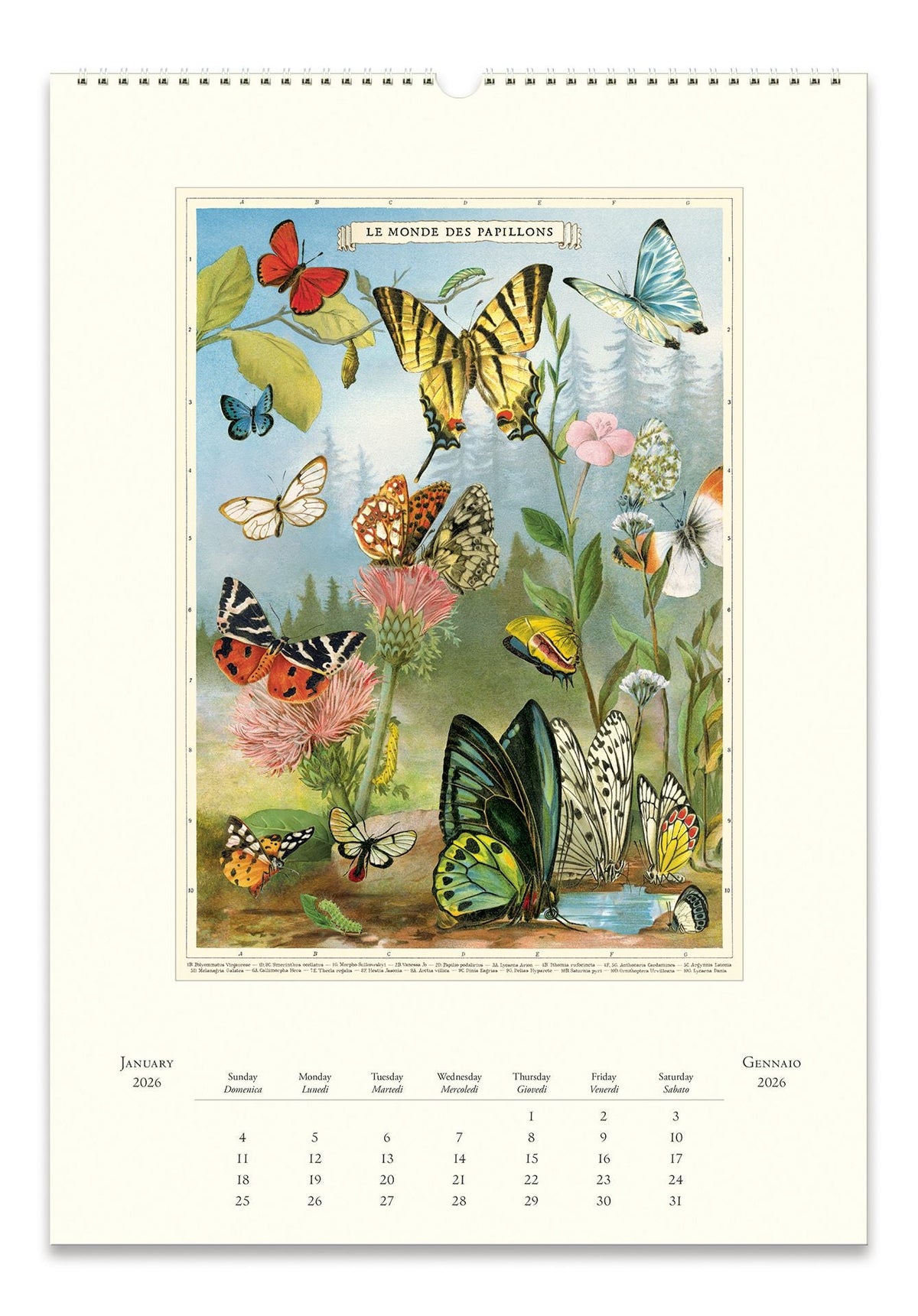 2026 Entomology Wall Calendar