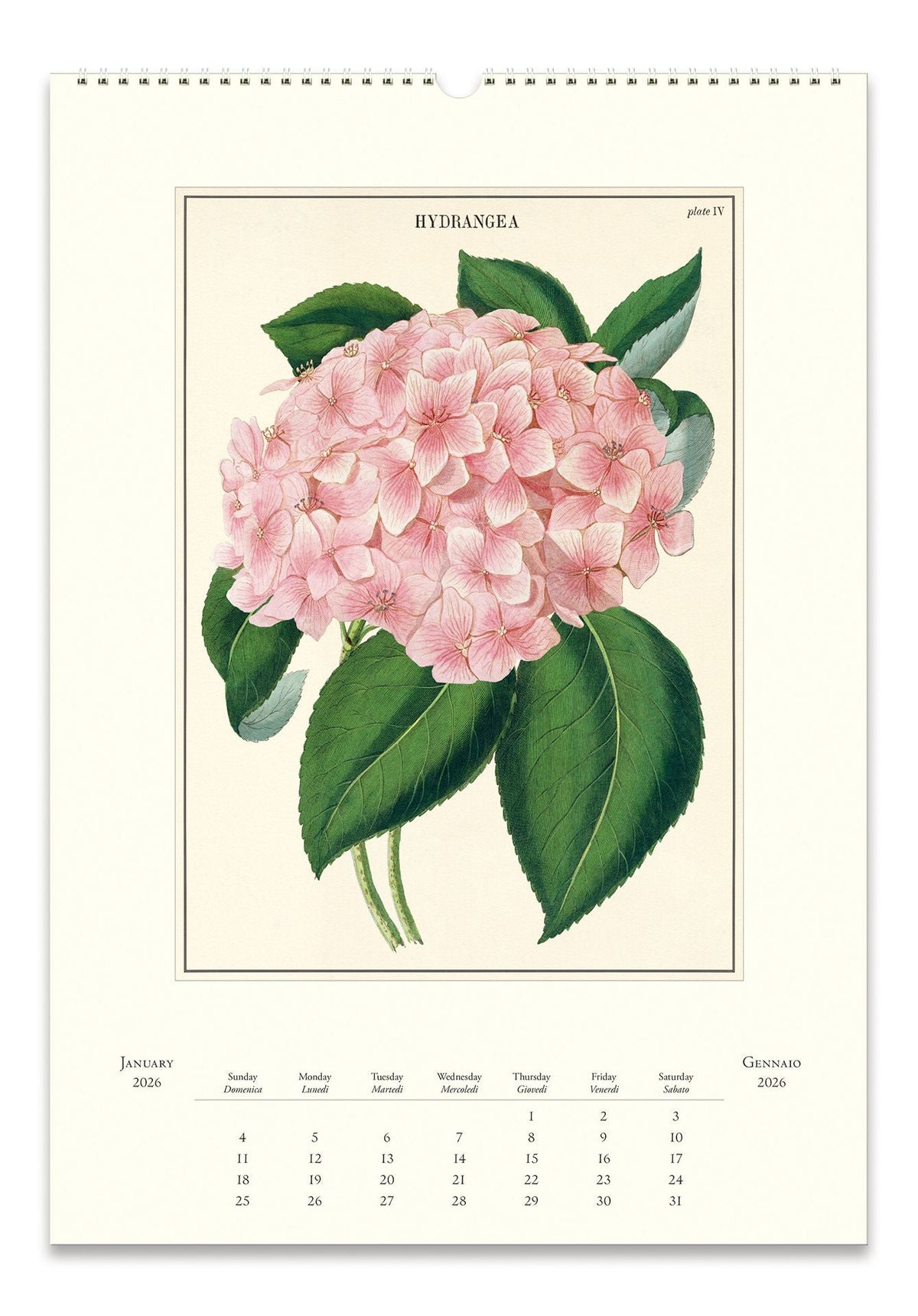 2026 Cavallini Botanica Wall Calendar
