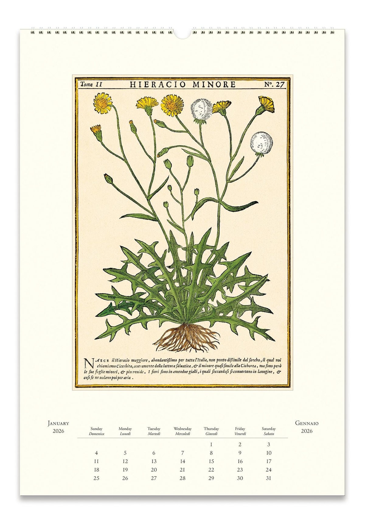 2026 Cavallini Herbarium Wall Calendar