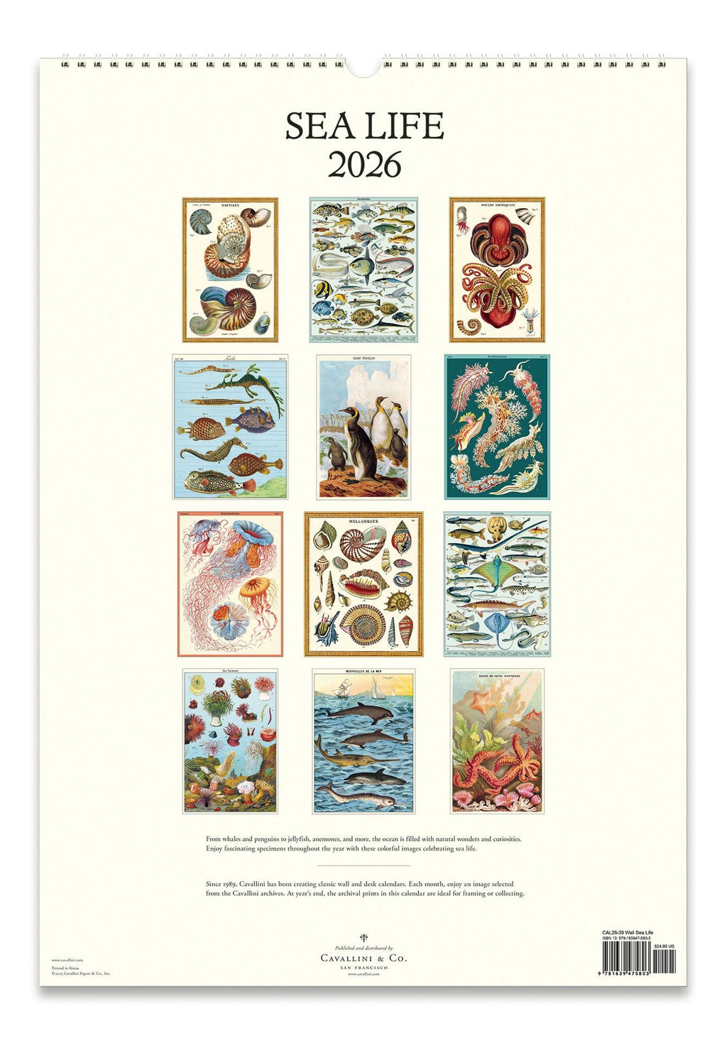 2026 Cavallini Sea Life Wall Calendar