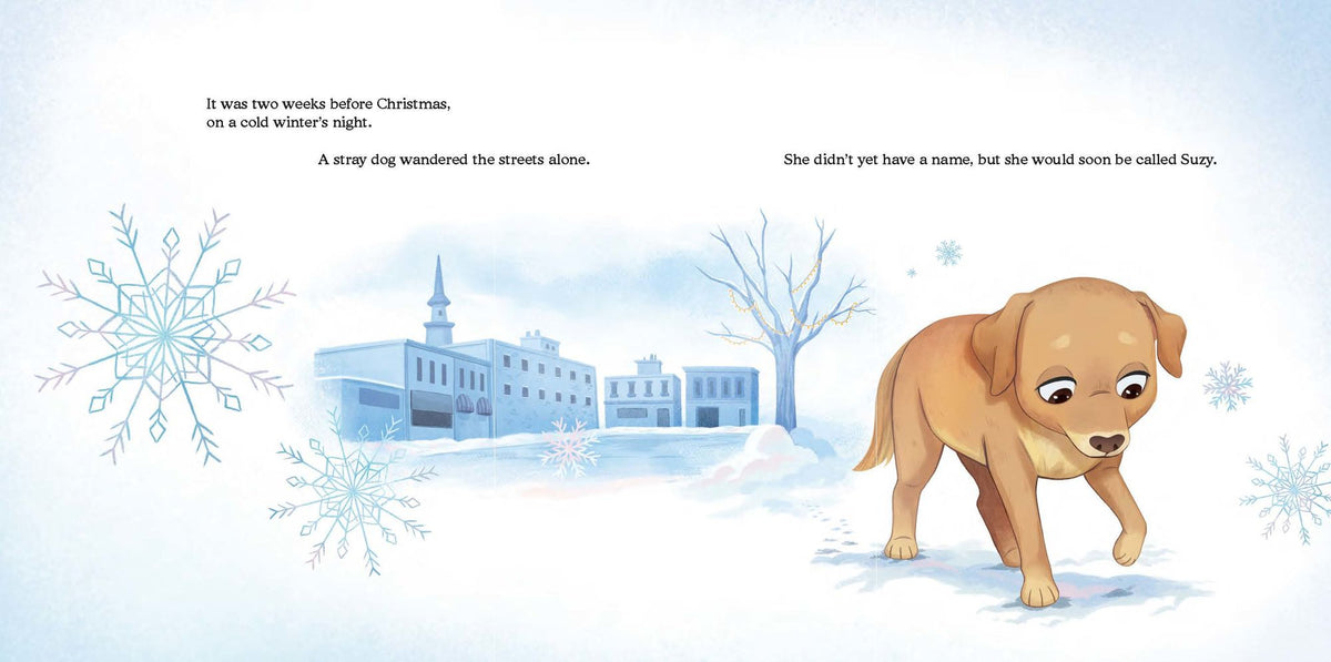 A Stray Dog for Christmas: How Suzy Was Adopted