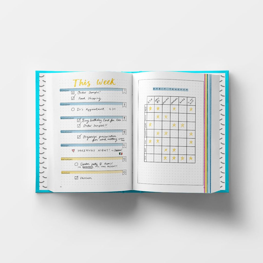 Positive Bullet Diary