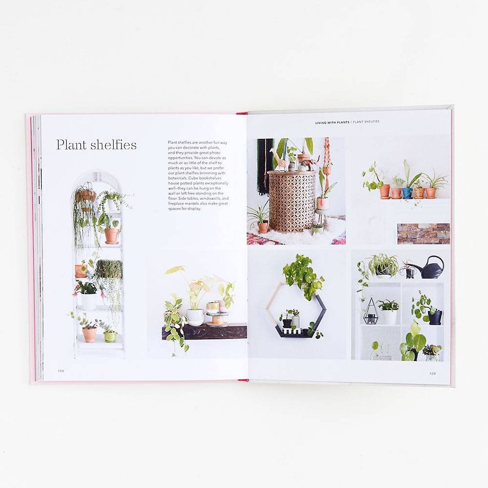 How to Raise a Plant: and Make It Love You Back