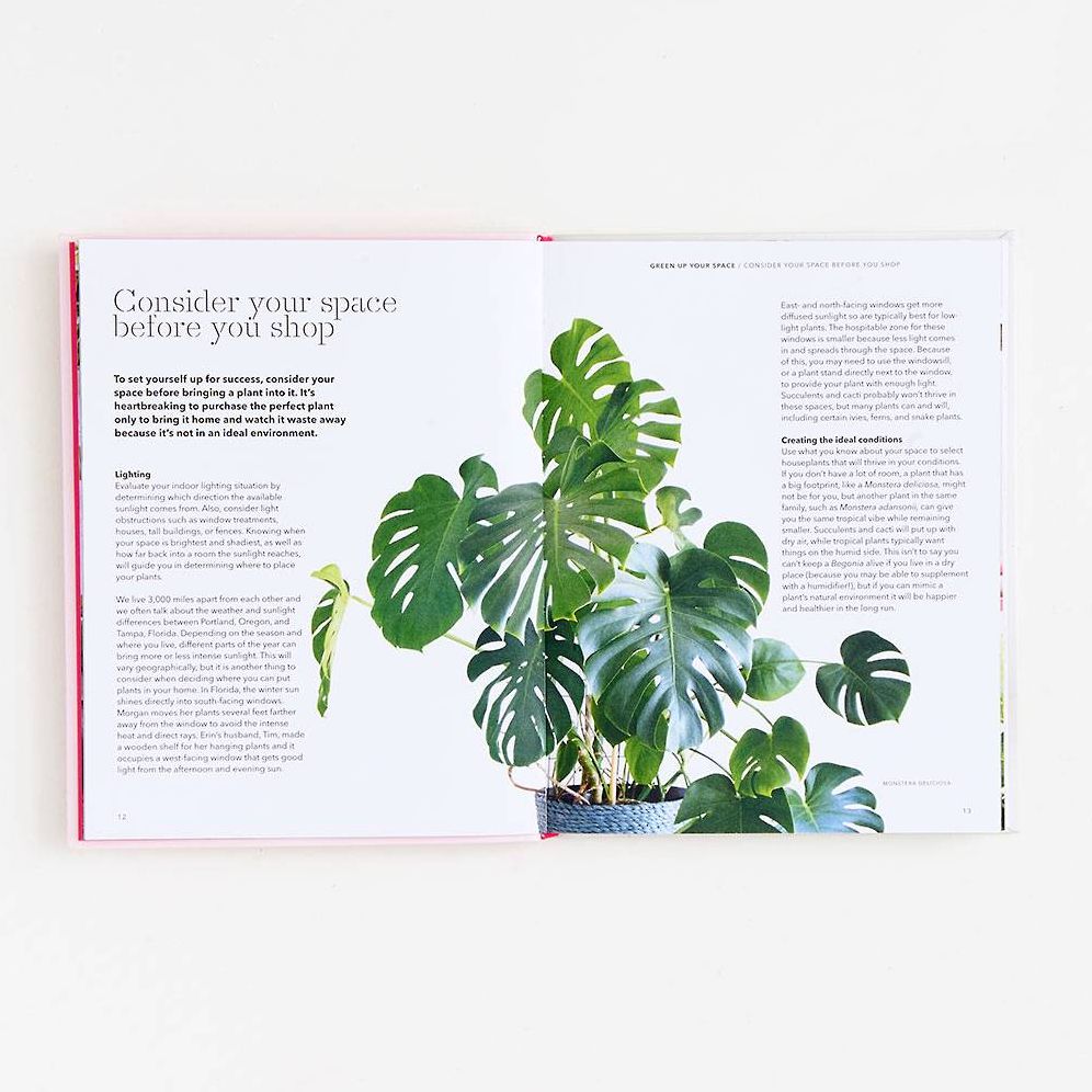 How to Raise a Plant: and Make It Love You Back