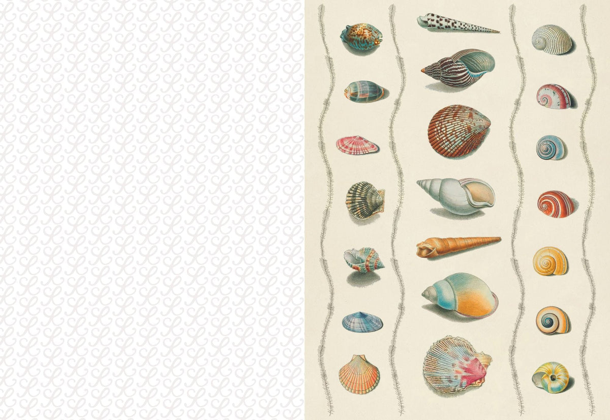 The Collage Compendium: 2,000 Images to Cut Out & Collage
