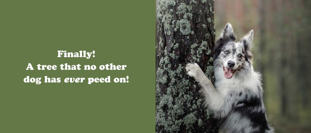 The Secret Thoughts of Dogs