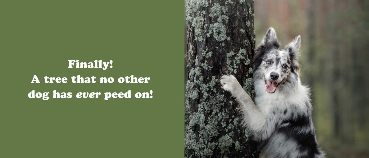 The Secret Thoughts of Dogs