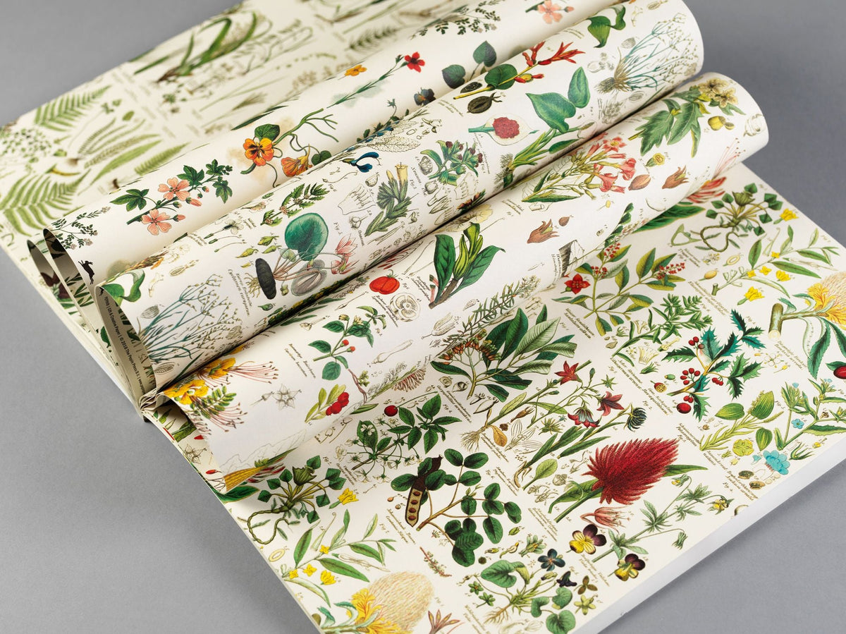 Flora Gift & Creative Paper Book