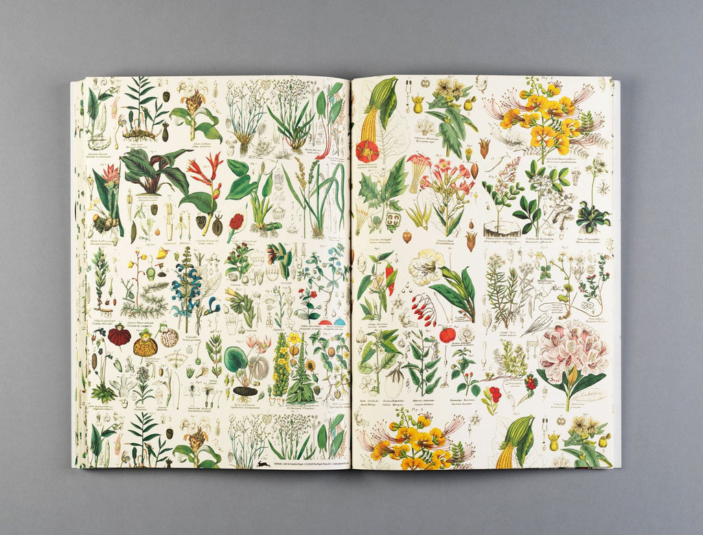 Flora Gift & Creative Paper Book