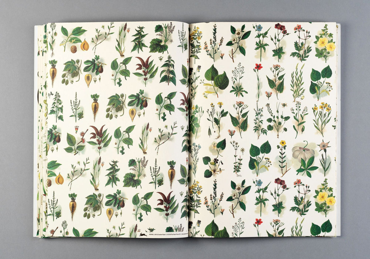 Flora Gift & Creative Paper Book