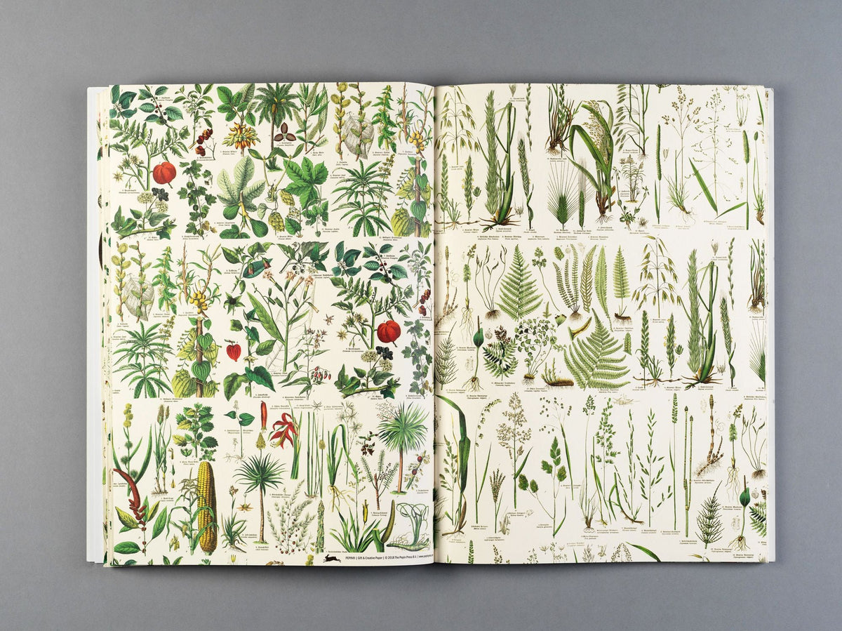 Flora Gift & Creative Paper Book