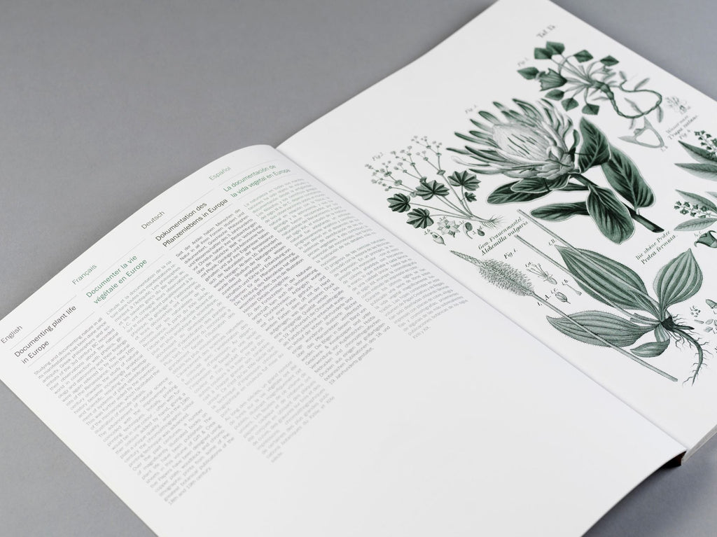 Flora Gift & Creative Paper Book