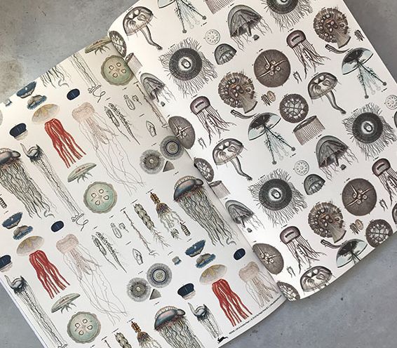 Marine - Gift & Creative Paper Book