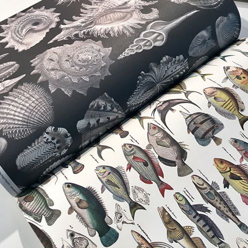 Marine - Gift & Creative Paper Book