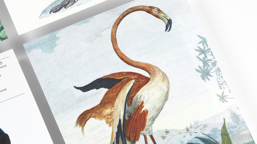 Birds A5 Notepad