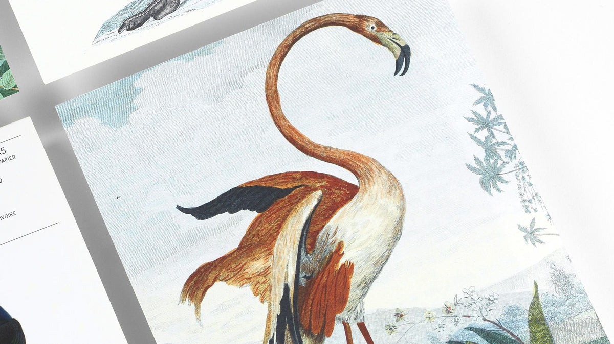 Birds A5 Notepad