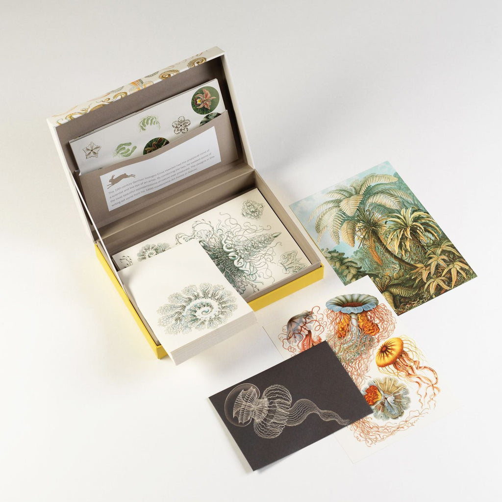 Art Forms in Nature Letter Writing Set