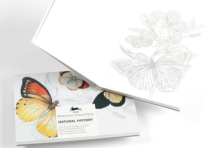 Natural History - Watercolour Postcard Book