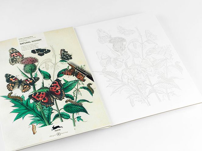 Natural History - Artists' Colouring Book