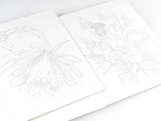 Natural History - Artists' Colouring Book